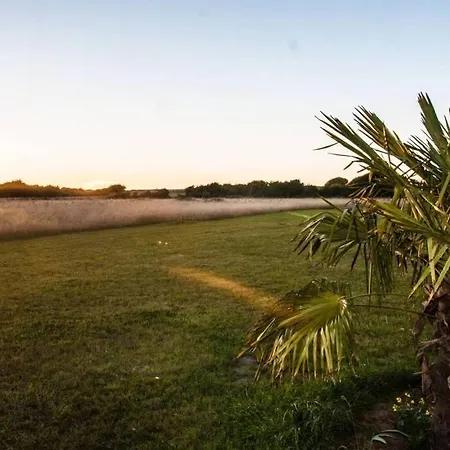Au Pied Des Dunes, 200m De La Dom wakacyjny *