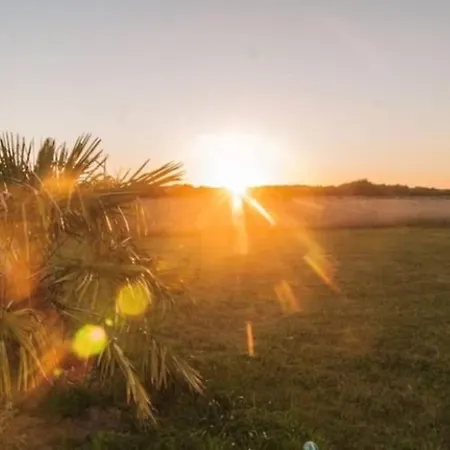Holiday home Au Pied Des Dunes, 200m De La
