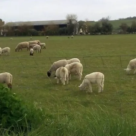 Au Pied Des Dunes, 200m De La