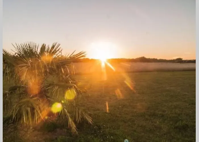 Prázdninový dům Au Pied Des Dunes, 200m De La