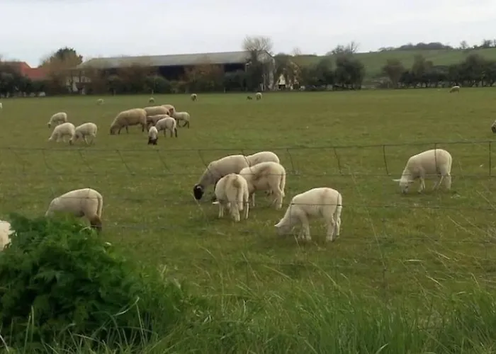 Au Pied Des Dunes, 200m De La